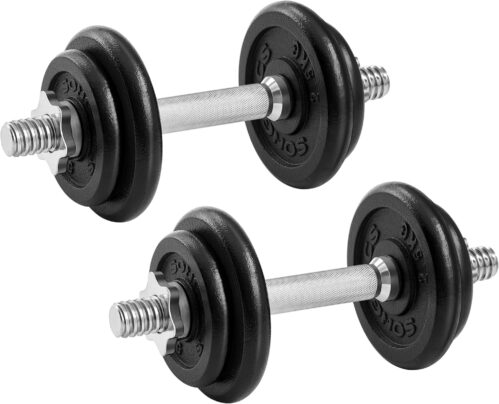 SONGMICS Hanteln, Hantelset aus Gusseisen, verstellbar, für Männer und Frauen, Workout, Fitnesstraining, Gewichtheben für Zuhause, Fitnessstudio